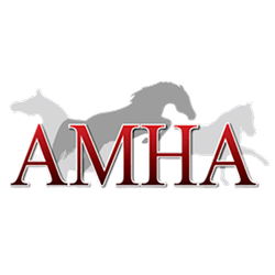 AMHA World Championship